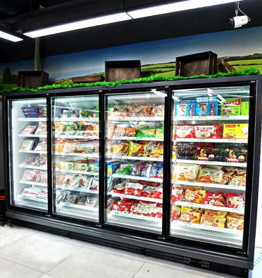 Tipo a distanza di vetro commerciale dritto di raffreddamento a aria 220V del congelatore della porta R290