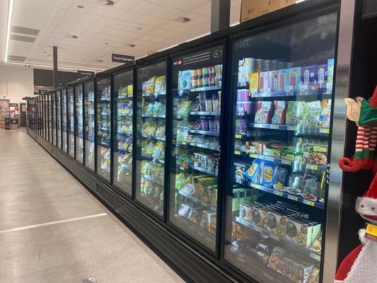 Bassa temperatura di vetro dritta autonoma 3 del congelatore della porta 4 5 6 porte