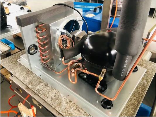 Buffet autopulente a prova di caduta dei frutti di mare della macchina del ghiaccio del cubo di Sk-81b