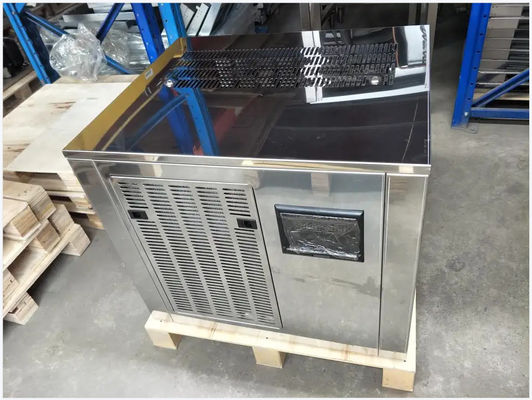 Macchina per ghiaccio commerciale del fiocco per il gruppo di lavoro amichevole 300kg 500kg dell'alimento di sterilizzazione uv spaccata